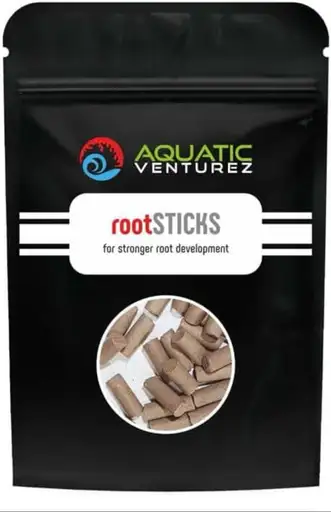 Beginner’s Guide to Aquascaping